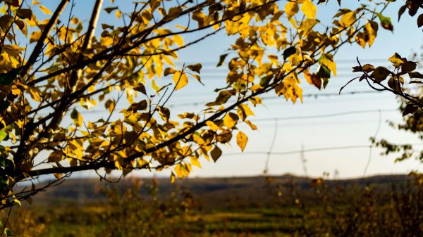 新闻学考研分析