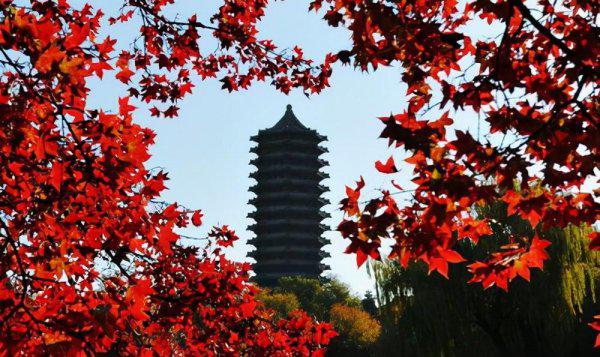 北京大学研究生分数线