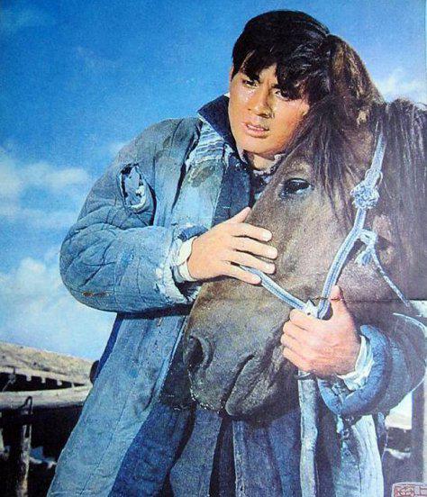 灵与肉和牧马人是什么关系