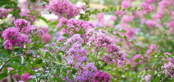 对付男人出轨最厉害的方法