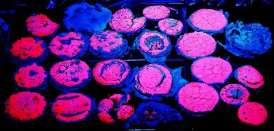 夜光石为什么会发光 夜光石能否用在城市夜间照明