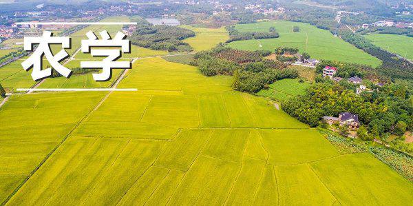 农业大学都有什么专业