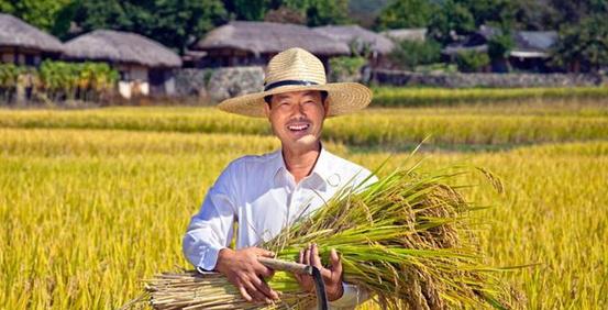 农业大学都有什么专业