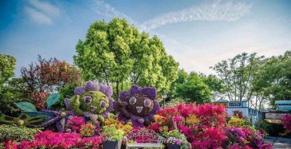 农业大学都有什么专业