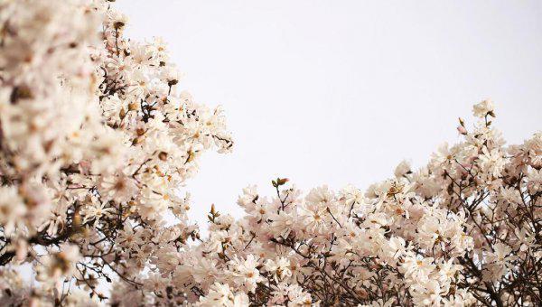 上海工程技术大学是几本