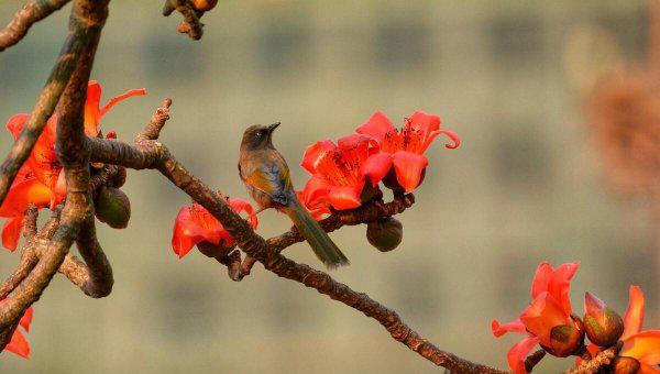 萨尔温江在我国叫什么