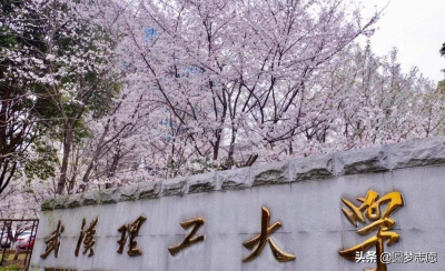 为什么武汉理工叫984.5 武汉理工是什么档次的大学