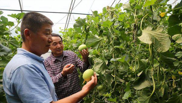 西安市大学排名一览表