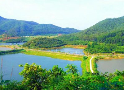 东莞旅游必去十大景点排名 东莞10个免费公园景点推荐