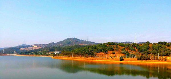 东莞旅游必去十大景点排名