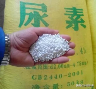 车用尿素是什么里面有什么成分 车用尿素起什么作用