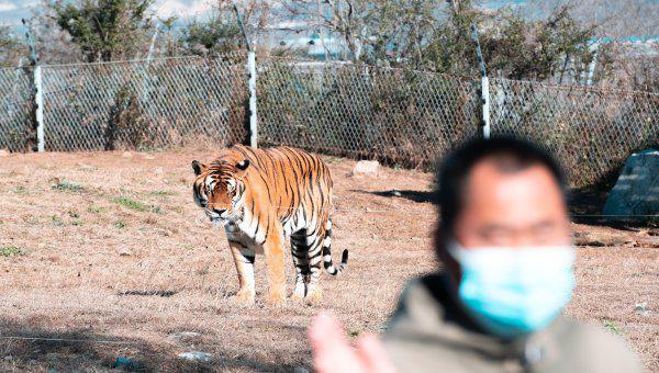 济南景点排行榜前十名