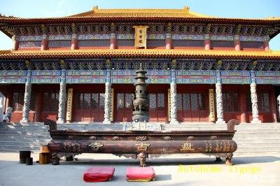 青县属于哪个市