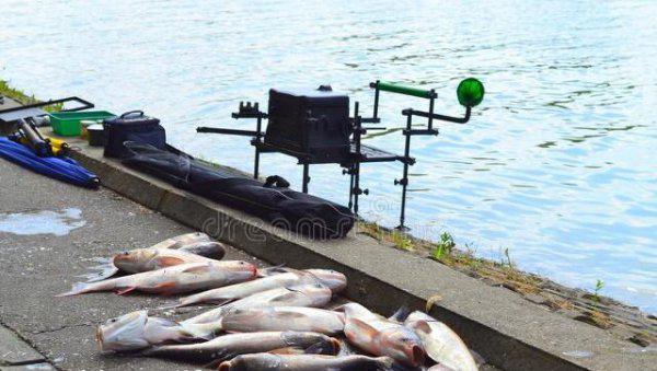 钓白鲢鱼用什么饵料最好