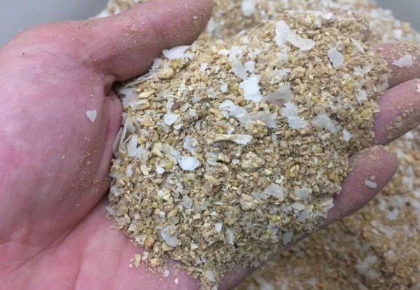 初夏钓鲫鱼用什么饵料最好