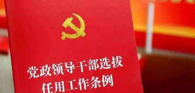 五级职员是什么级别