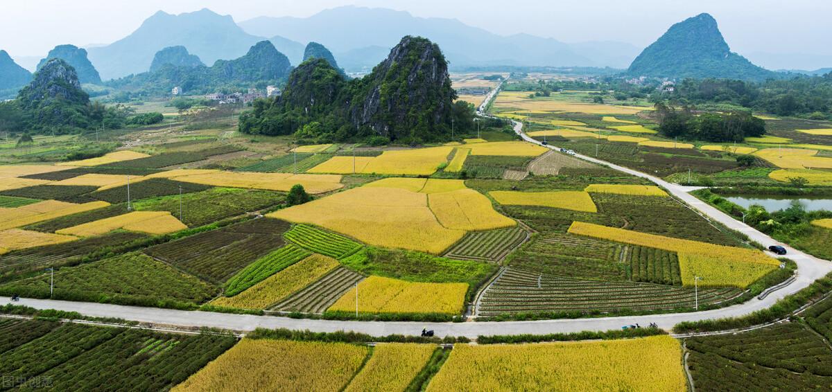 阳春市属于哪个省哪个市