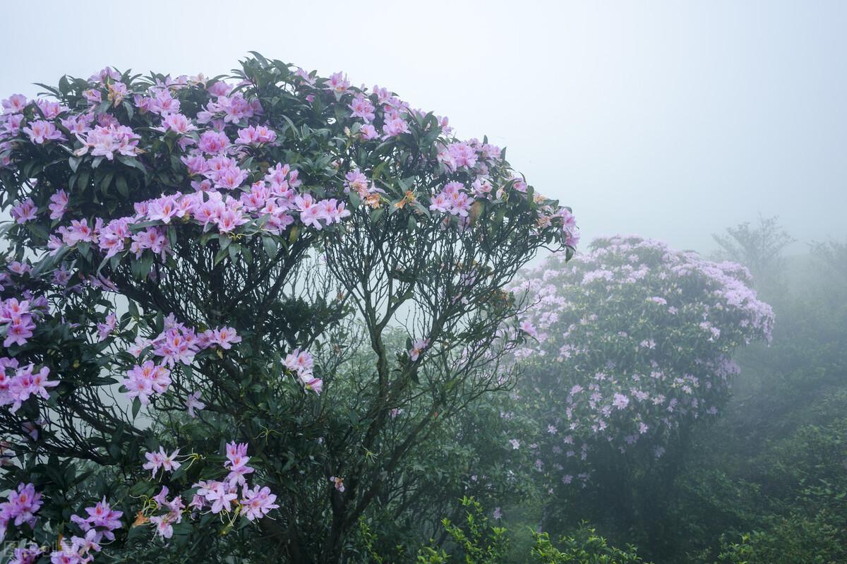 阳春市属于哪个省哪个市