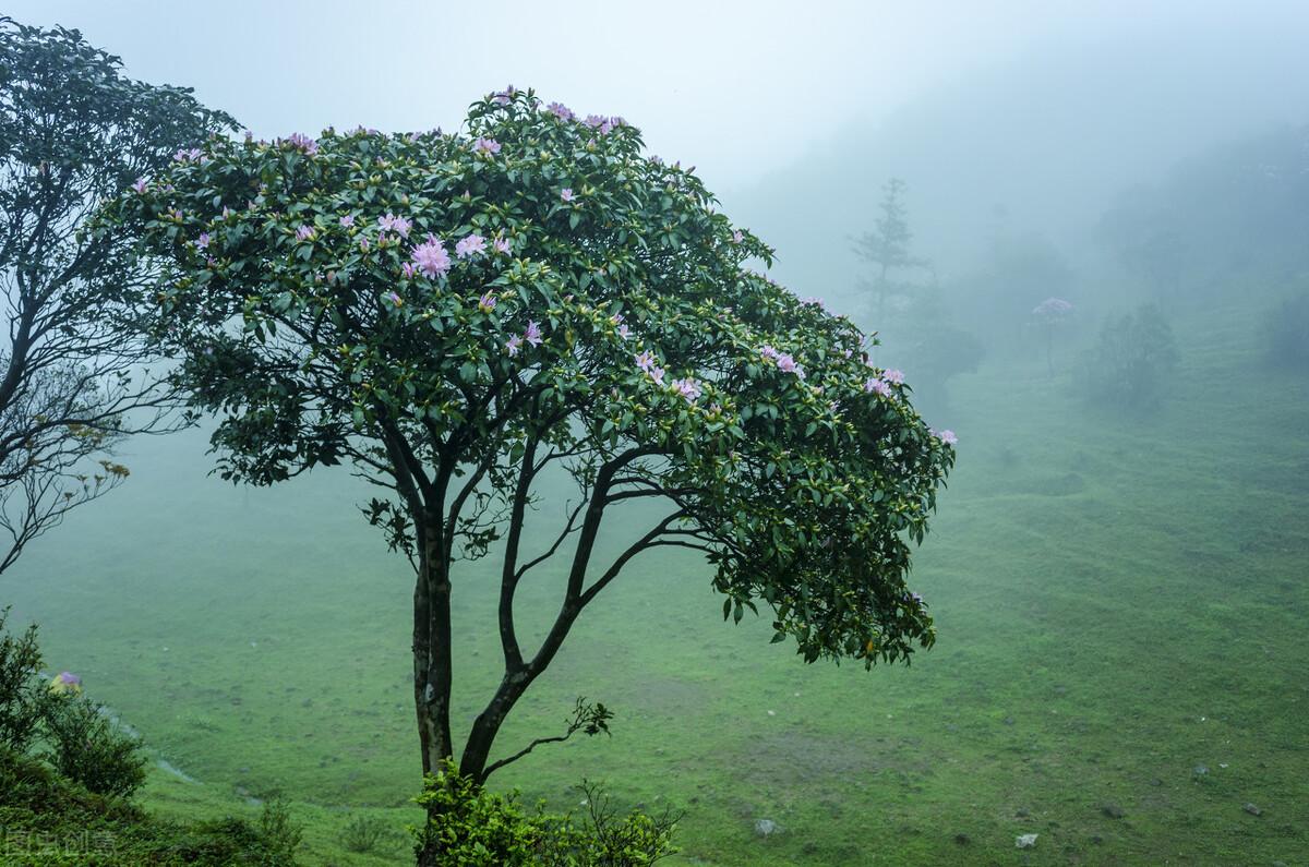 阳春市属于哪个省哪个市
