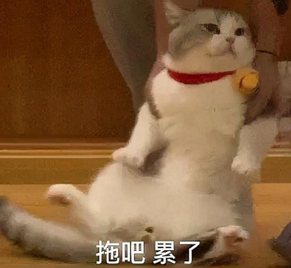 win10哪个版本好用