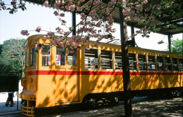 日本人的祖先来自哪里