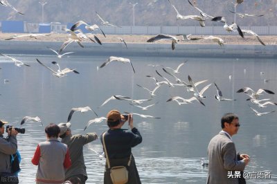 大连景点排行榜前十名 大连旅游必去十大景点推荐