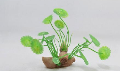 古代慈禧的玉藕怎么用