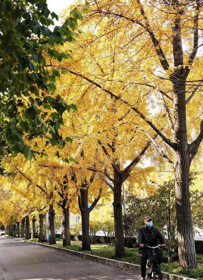 三里屯在北京哪个区