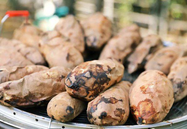 三里屯在北京哪个区