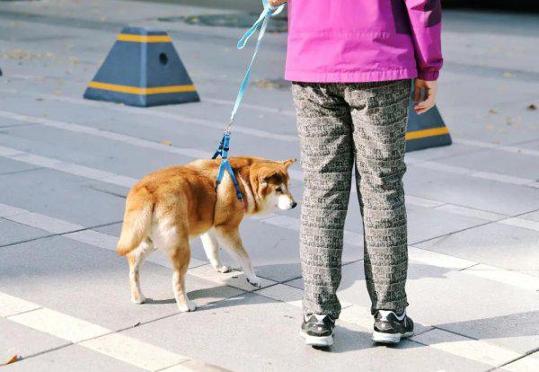 三里屯在北京哪个区