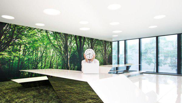 全款先过户还是先给钱