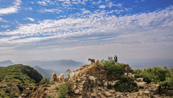 河南有哪些著名的旅游景点