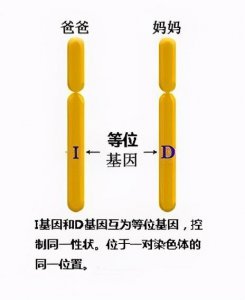 黑人血统几代会消失 黑人多少代混血才能完全拥有白人特征
