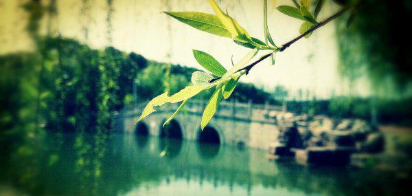 张家港是哪个省属于哪个市