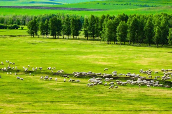 六七月份适合去哪里旅游