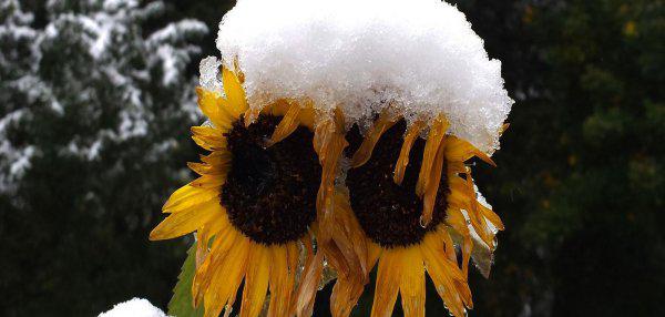 黄石火山爆发会怎么样