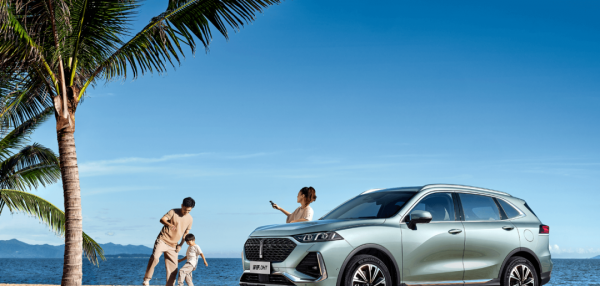 口碑最好的油电混合车推荐