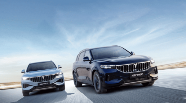 口碑最好的油电混合车推荐