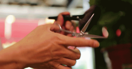 把头发打薄是什么意思