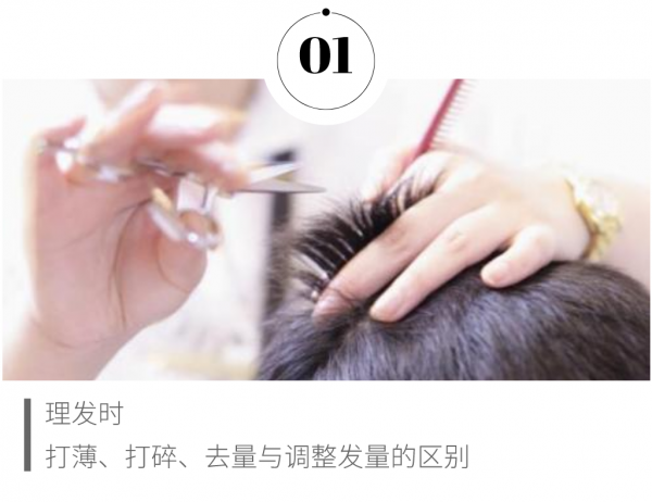 把头发打薄是什么意思