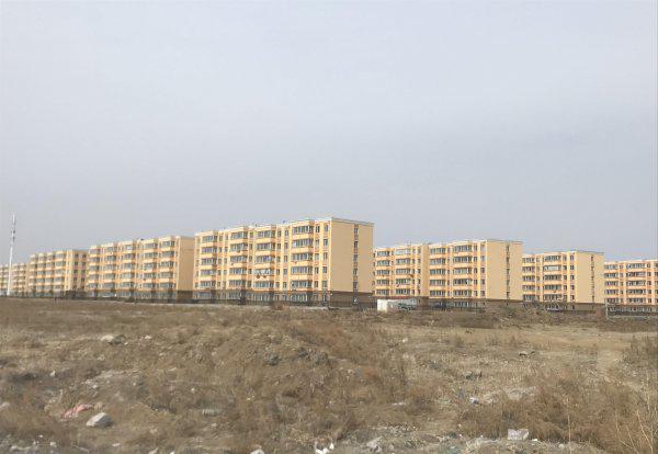 鹤岗市是哪个省的城市