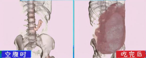 为什么吃播吃那么多还不胖