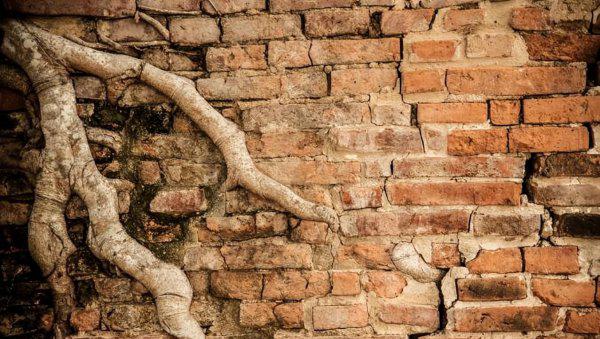 国家低保一个月多少钱