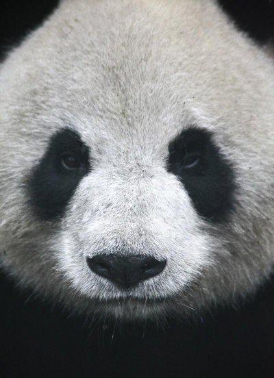 植物最不喜欢什么颜色的光