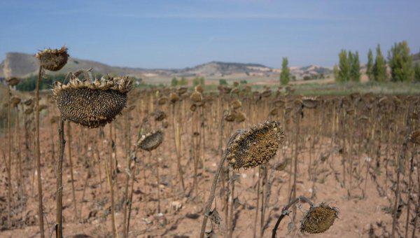 植物最不喜欢什么颜色的光