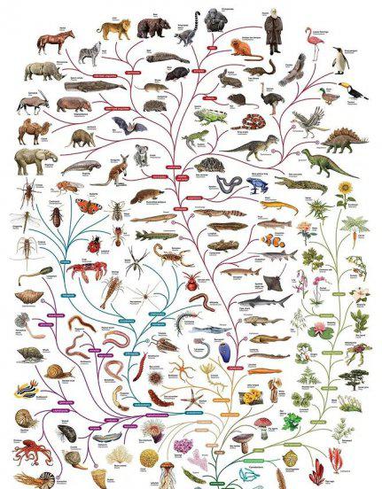 植物最不喜欢什么颜色的光