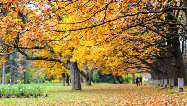 植物最不喜欢什么颜色的光