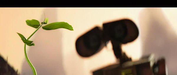 植物最不喜欢什么颜色的光