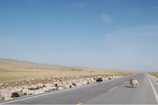 怎么判断自己能不能去高原