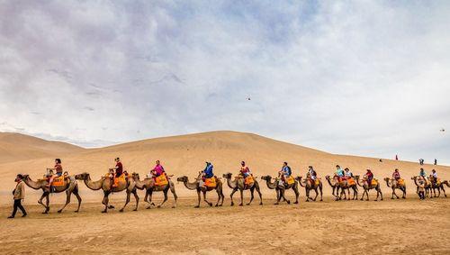 丝绸之路开辟于什么朝代